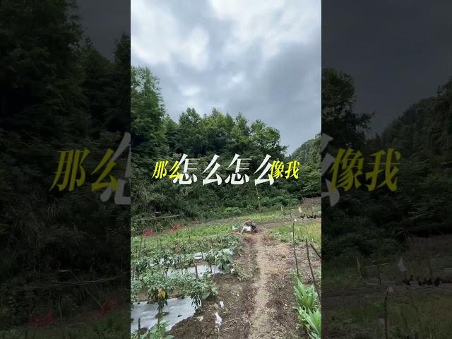 一个人可以吃苦，但是两个人不行，不然会以为苦是对方带来的
