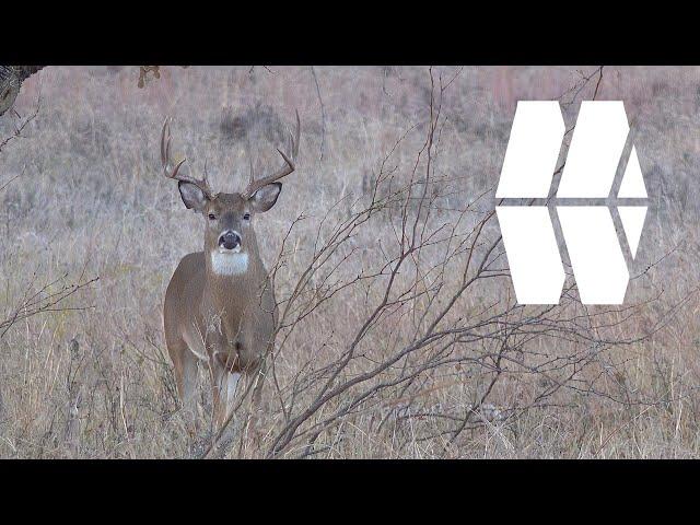 | Texas Deer Hunting | "Home Creek" | My World Outdoors | SEASON 1