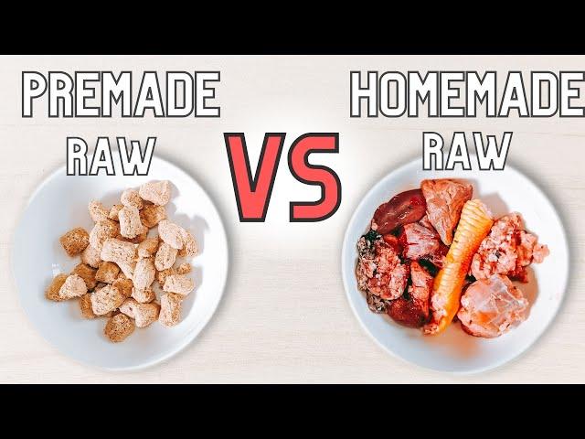 Premade Raw Vs. Homemade Raw Pet Food - Which Is better?