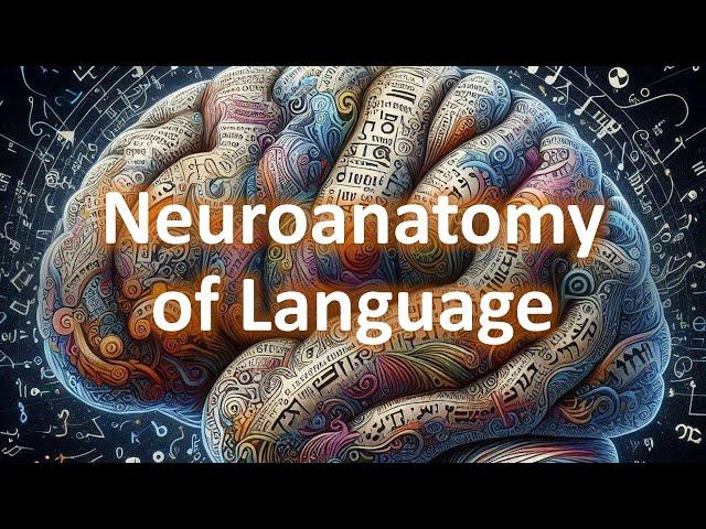 The Neuroanatomy of language (part 1): the Broca-Wernicke model of language.