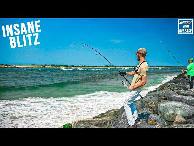 INSANE INLET BLITZING BLUEFISH MIDDAY Fall Run Surf Fishing Long Island - IN SEARCH OF STRIPED BASS