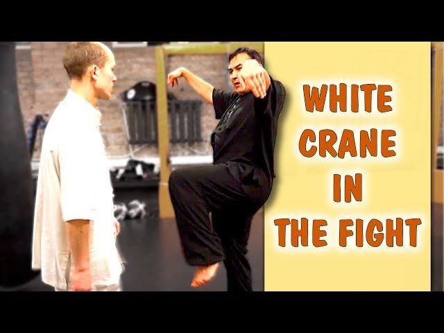 White Crane's fighting methods