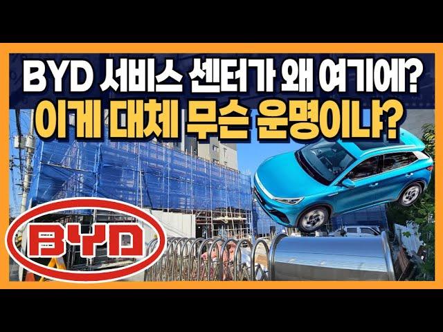 BYD 서비스 센터가 왜 여기에? "이게 대체 무슨 운명이냐?"