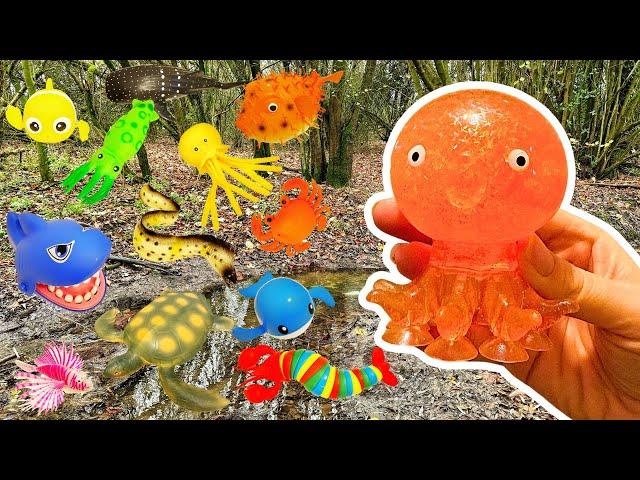 Kids Learn | Sea Animal Names at the Stream for Babies Toddlers Preschoolers: Shark Jellyfish Whale