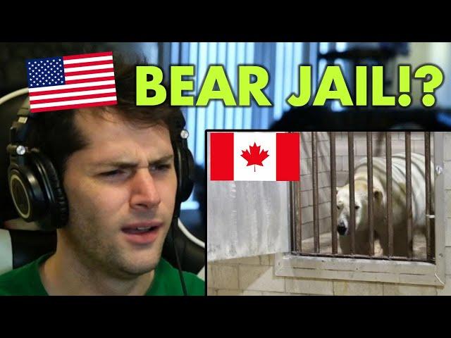 American Reacts to 50 UNIQUE Things About Canada (Part 1)