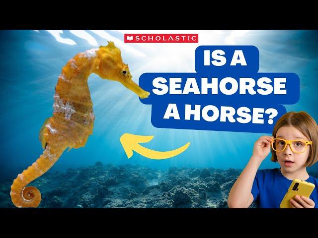 SEAHORSE   Facts for Kids | A SEAHORSE Can Lay Hundreds of EGGS 