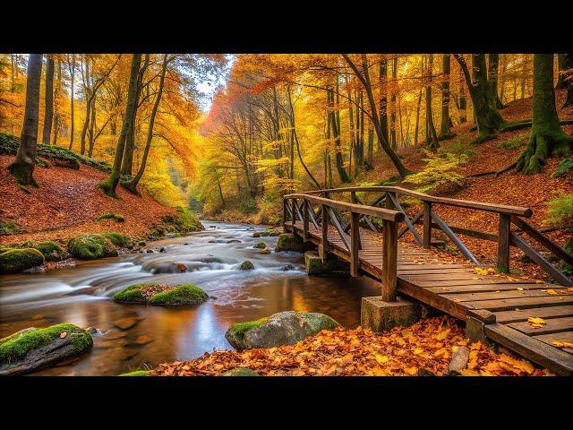 Sweet Autumn Melodies to Relieve Worry and AnxietyHealing music for the heart and blood vessels