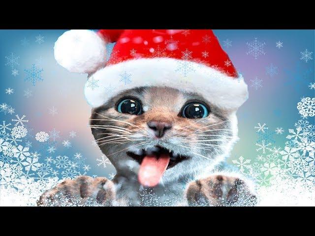 Fun Pet Care Kids Game - Little Kitten Adventures - Play Fun Xmas Costume Dress-Up Party Gameplay