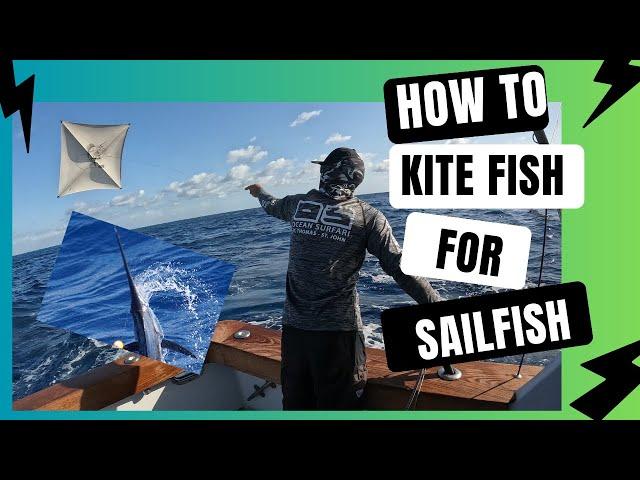 How To Kite Fish For Sailfish Offshore Miami: Everything You Need To Know