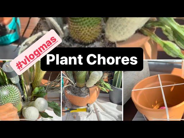 Relaxing Plant Chores #vlogmas2023