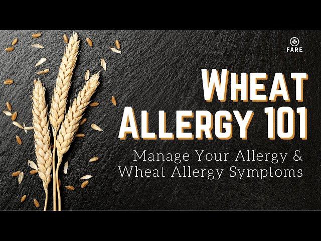 Food Allergy 101: Wheat Allergy Symptom | Wheat Allergy Food