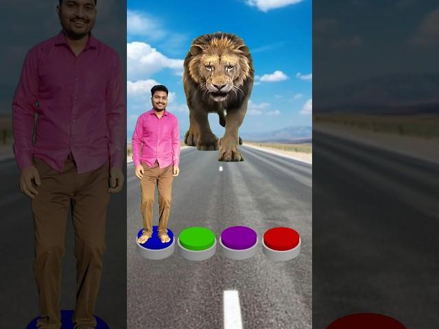 I Jump on button to cow, dog, monkey & lion - Funny vfx magic
