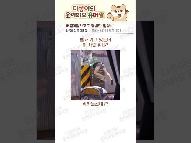 어질어질하고도 평범한 일상;;; #웃긴동영상 #유머 #공감