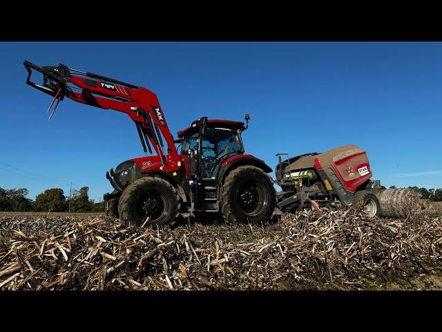 CUTTING AND BAILING THE BEANS PLUS SOWING THE WHEAT