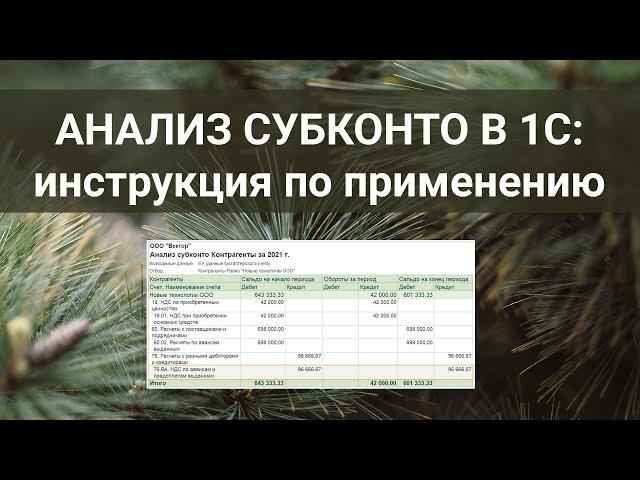 Анализ субконто в 1С: инструкция по применению