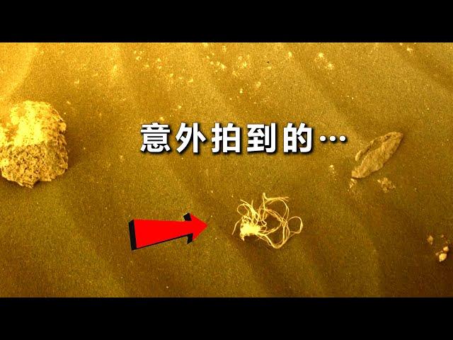 来自火星的真实图像：我们发现了一个类似蜘蛛的物体？