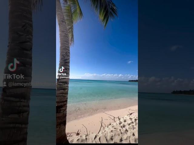 How to Buy An Investment Property in the Dominican Republic#dominicanrepublicrealestate