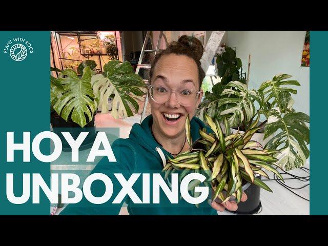 Wishlist HOYA unboxing! ft Bladgoud | Plant with Roos