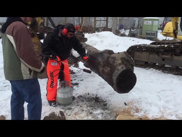 Stihl and Echo Chainsaw Review- Which is Better?