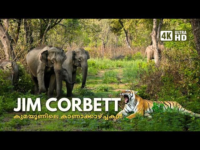 ഇന്ത്യയിലെ ആദ്യത്തെ കടുവാസങ്കേതം, JIM CORBETT NATIONAL PART; 4K UHD@trippingvibes
