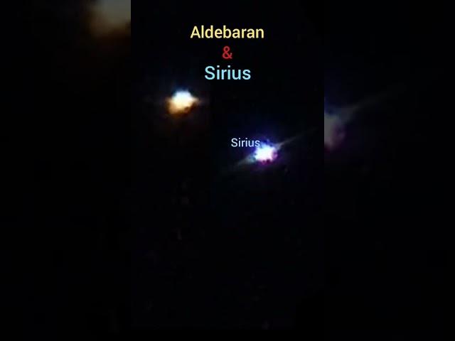 Aldebaran and Sirius Comparison. #shorts @observatoriodeastronomia