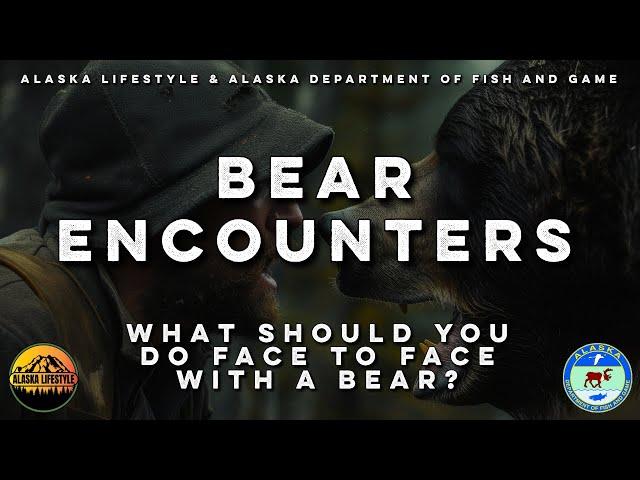 BEAR ENCOUNTERS and What To Do! Tips From Alaska Fish and Game Expert