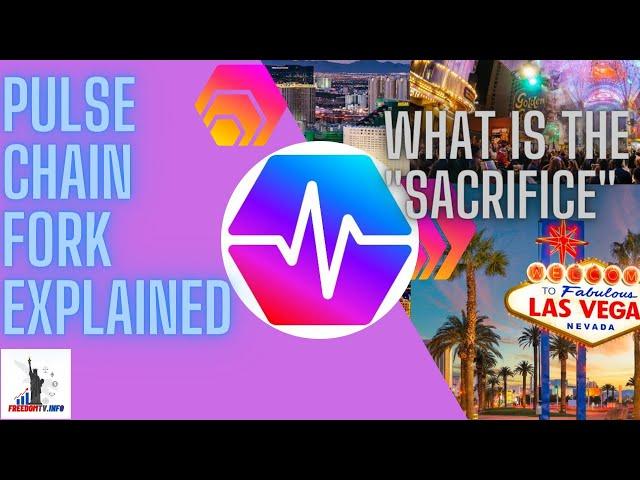 The Pulse Chain Fork Explained | FREEDOMTV