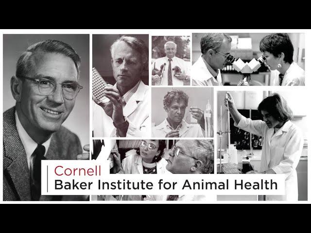 Baker Institute for Animal Heath