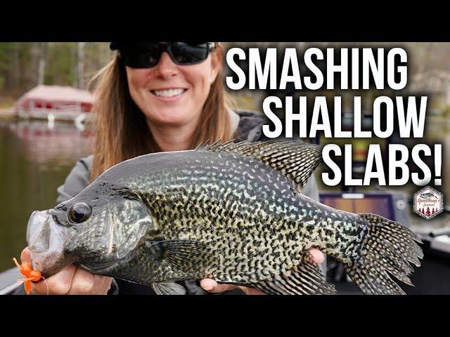 NEW BAIT Smashes Giant Crappies!! (Shallow Water Tips)