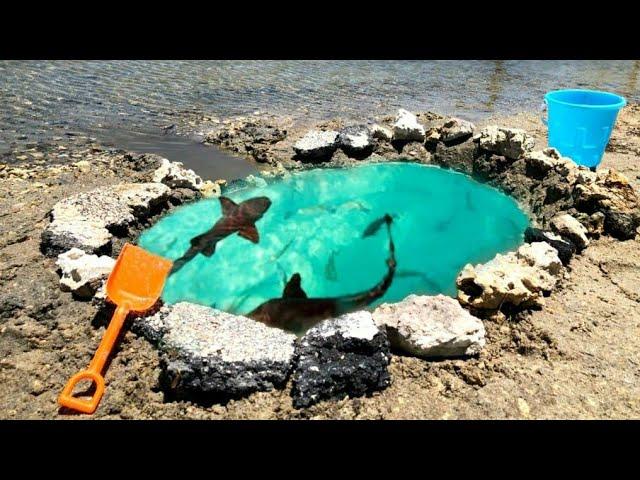 DIY SALTWATER Fish POND at BEACH!!!