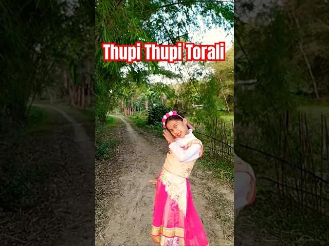 Thupi Thupi Torali | Neel Akash and Papori Gogoi| Assamese Melody Song