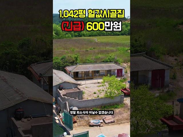 600만원~초대박가격 토지1,042평+바닷가 시골집~ #shorts