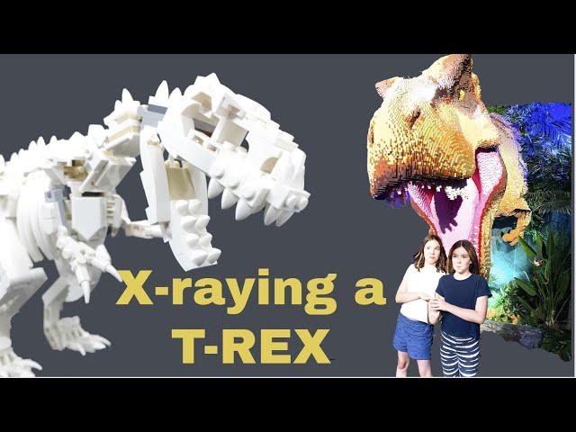 How to X-ray a life size LEGO T-REX dinosaur…! Jurassic World Dominion #shorts