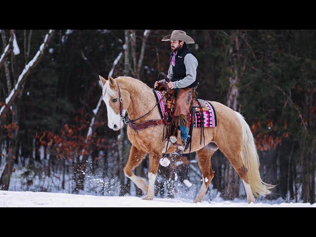 “Ladybug” gorgeous and safe trail horse, sells on horsebid.com in time for Valentine’s Day!