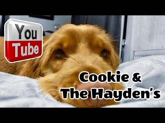 Welcome To Cookie & The Hayden's Youtube Channel **NEW TRAILER**