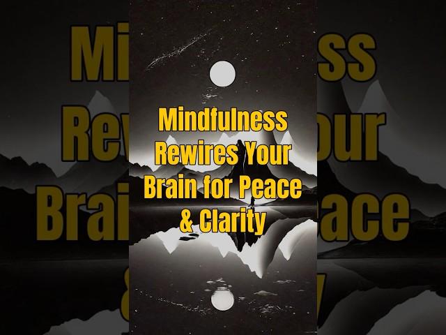 Discover How Mindfulness Transforms Your Brain (Zen Wisdom)