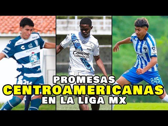 TOP 7 - PROMESAS CENTROAMERICANAS FORMÁNDOSE EN LA LIGA MX 2024