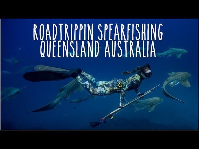 Spearfishing QLD Australia: Sharks + Cobia + Jacks + Jew + Marlin (Underwater Ally Adventures) Ep.16