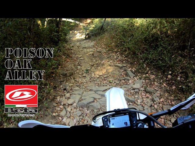 Single Track | Overgrown with Poison Oak | Beta 500 RR-S