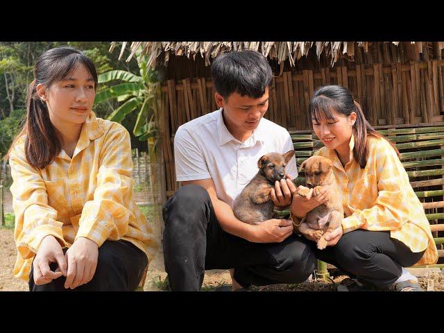 Kind Engineer Helps Single Mom Build a Dog Cage - Together They Build a Farm