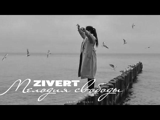 ZIVERT - Мелодия свободы | Премьера 2024