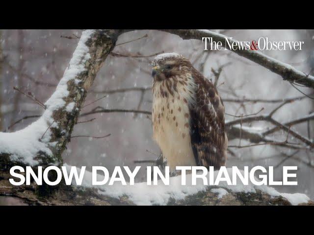 It's a snow day in the Triangle! Here's a look at the fun (and not so fun)