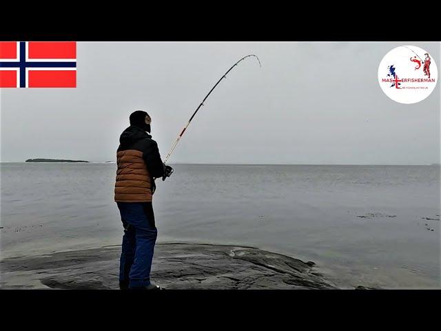 SHORE FISHING NORWAY - (STUS POINT) DAY 5 | HADDOCK AND COD FISHING | MASTERFISHERMAN