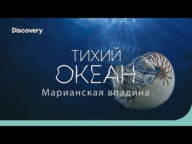 Тихий океан: Марианская впадина | На дне океана | Discovery