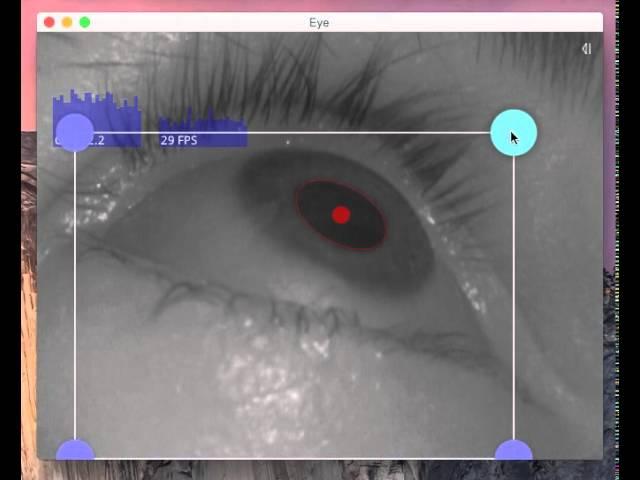 Pupil Capture v0.4.1 - Eye Settings - Basic Workflow