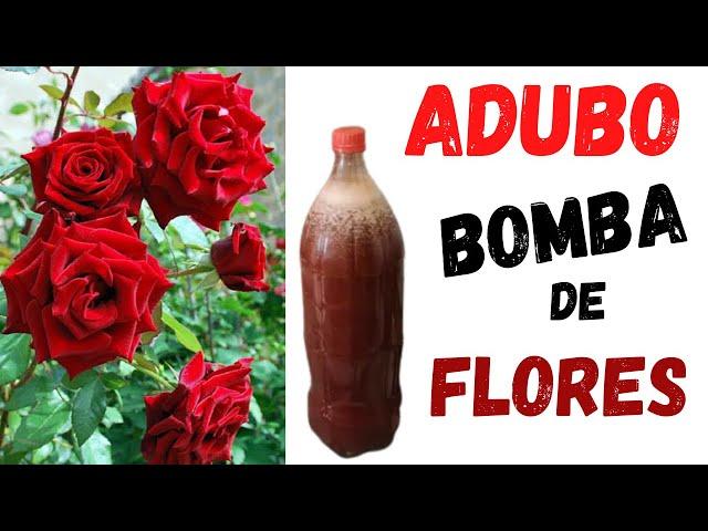 Adubo Caseiro   BOMBA DE FLORES PRA ROSEIRAS