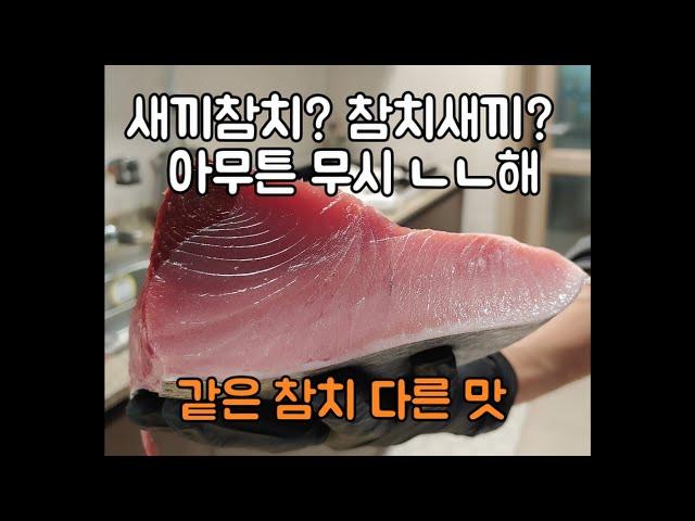 당신의 참치가 맛이 없는 이유.(feat. 4.8kgx5000원=24,000원)