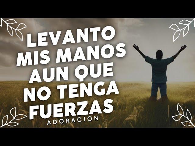 Alabanzas Que Traen Bendiciones A Tu Casa - Himnos Cristianos - Musica Cristiana y Coros Mix