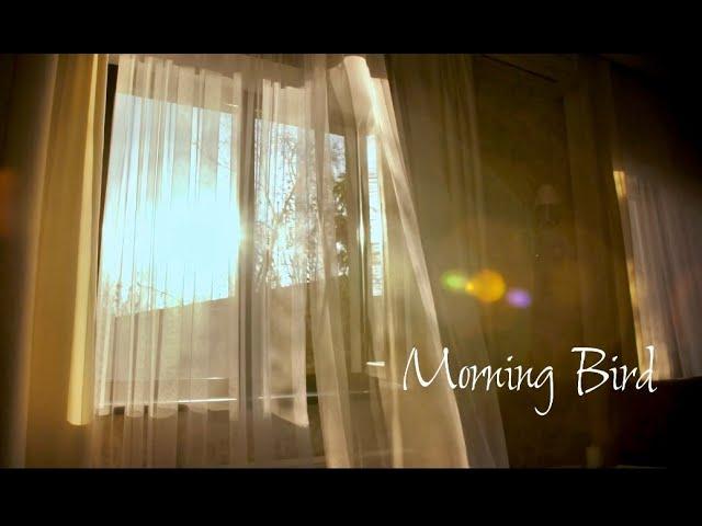 "Morning Bird" by Aaron Linn with J&M productions (Margaret and John Linn)