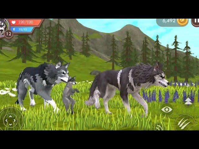 WiidCraft/ Un nou joc captivant
